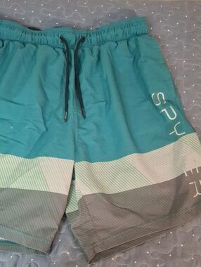Spyder Teal and Gray Men's Swim Shorts size medium